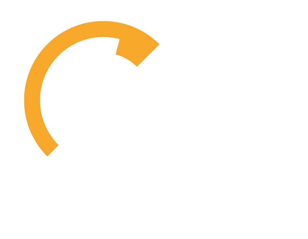 Poli Júnior